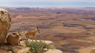 Bbc One Planet Earth Ii Mountains In Pictures