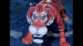 Tha seann tìgear ag iarraidh a bhith coltach ri duine