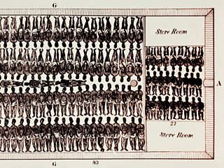Cross section of a slave ship