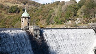 Levees river tees picture