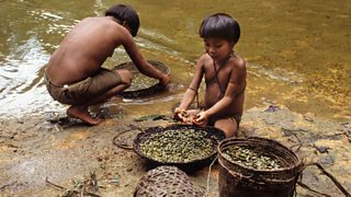 Indigenous people washing vegetables in the Amazon rainforest