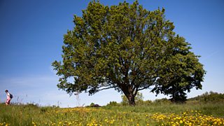 BBC Radio 4 - Ramblings - How to turn a simple walk into an epic walk!