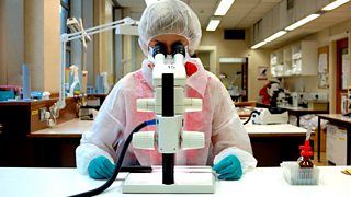 Crime Scenes Scotland: Forensics Squad