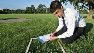 A school student testing a selected quadrat