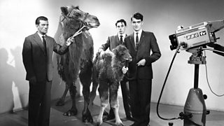 In pictures: BBC Wales in the Sixties