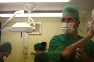 Alpacas and constipated terrapins