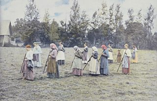 Rows of headscarf-clad women with rakes