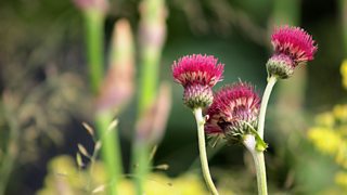 People's Choice Award Winner: Help for Heroes ‘Hope on the Horizon’