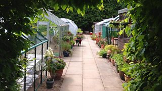 Gardeners' Question time comes to Beechgrove