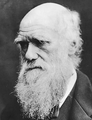 Charles Darwin (1809 - 1882), the English naturalist and geologist, best known for his contributions to evolutionary theory