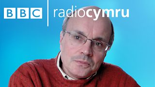 Podlediad Dan Yr Wyneb