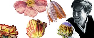 Extended interviews and performances