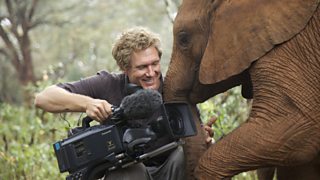 Things that go bump in the night