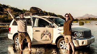 Five reasons to watch