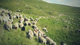 James Rebanks: "People like us are married to the landscape"