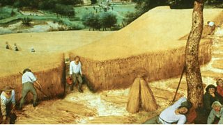 How could you survive in Tudor England?