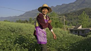 Interactive Documentary