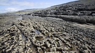 An image of chemically-weathered limestone