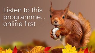 Get ahead of the scurry...