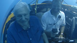 Take an interactive journey