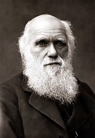 Portrait of Charles Darwin
