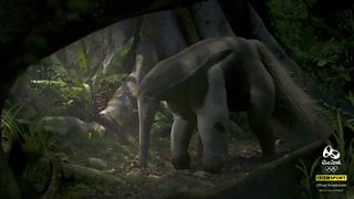 BBC Sport: Olympic Taekwondo