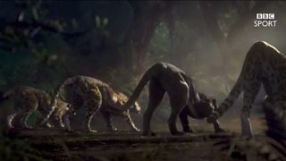 BBC Sport: Olympic Cycling