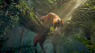 BBC Sport: Olympic Athletics