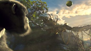 BBC Sport: Olympic Golf