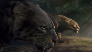 BBC Sport: Olympic Cycling