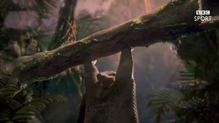 BBC Sport: Olympic Weightlifting