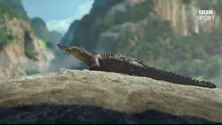 BBC Sport: Olympic Fencing