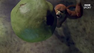 BBC Sport: Olympic Basketball