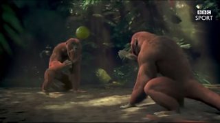 BBC Sport: Olympic Table Tennis