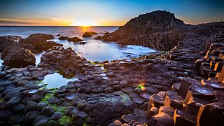 Meet the Contributors