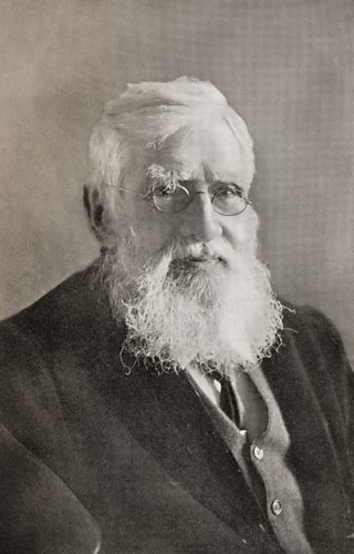 alfred russel wallace seminal work