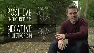 Explaining key biological concepts - GCSE Biology (Single Science ...