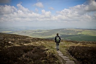19 thoughts that everyone experiences during a country walk