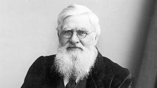 Welsh naturalist Alfred Russel Wallace (1823 - 1913).