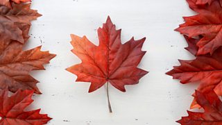 Canada 150 on Radio 3