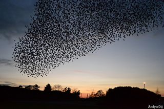 BBC Blogs - Springwatch - 7 signs that autumn is well and truly on its way