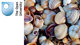 Explore more about the science behind sounds and how we hear, with The Open University