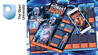 Download a free poster and postcards with augmented reality