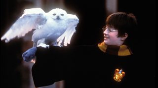 The ultimate Harry Potter quiz