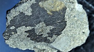 Bringing the past to life in technicolour