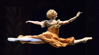 Star Ballerina's Swansong