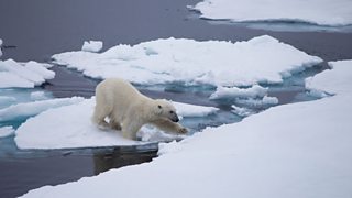 Reading and translation practice - climate change - The environment in ...