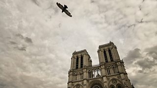 Hear the Bells of Notre Dame
