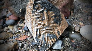 Five items that tell the story of the River Thames