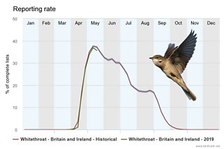 BBC Blogs - Springwatch - What's happened to our migrant birds this Spring?